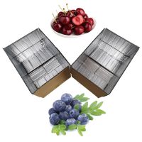 10" x 10" x 10" thermal aluminum foil bubble corrugated insulated carton box packaging for perishable food shipping