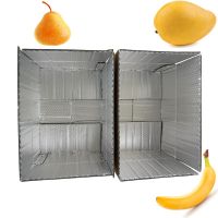 10" x 7" x 4.75" flexible aluminum foil polyethylene bubble corrugated insulated carton box packaging for frozen food shipping