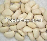 best  quality grade Lima beans whole sale price