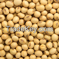 best  quality grade yellow soybeans grains