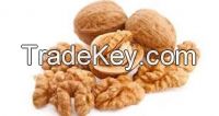 high quality grade Walnuts whole sale price