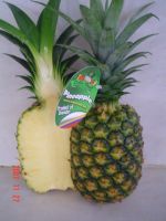 Sell Pineapple