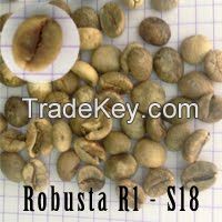 Robusta R1/18 Wet Polished from Viet Nam