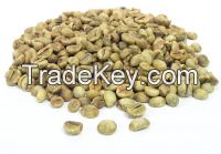 Robusta R1/16 Wet Polished from Viet Nam