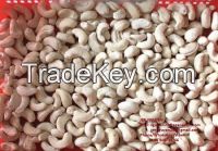 Cashew Nut with high Quality in Vietnam