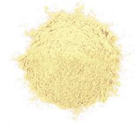 Pineapple Powder with high quality