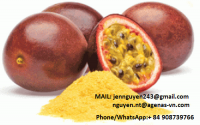 Passion Fruit Powder with high quality