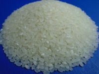 Japonica Rice from Viet Nam