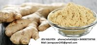 Ginger Powder with high quality
