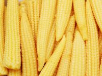 Baby corn (whole/cut)