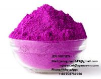 RED FLESH DRAGON FRUIT POWDER WITH HIGH QUALITY