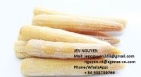 FROZEN BABY CORN WITH PREMIUM QUALITY