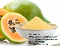 Papaya Powder with high quality