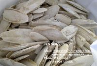 CUTTLEFISH BONE WITH COMPETITIVE PRICE FROM VIETNAM