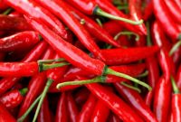 Fresh Chilli