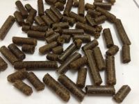 SUGAR CANE BAGASSE PELLET