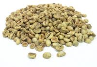 robusta coffee beans with high quality and best price