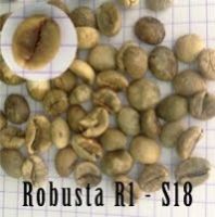 robusta coffee beans with high quality and best price from vietnam