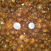 Betel Nuts/Areca Nuts Sliced Coins