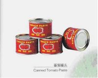 chinese manufactuer offer tomato paste