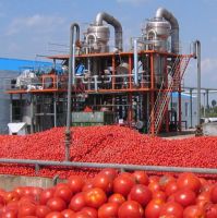 Factory Price small scale tomato paste/sauce/ketchup processing plant production line