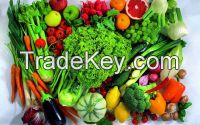 Fresh Vegetables