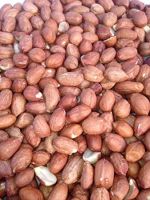 Redskin Peanuts, Salted Peanuts, Raw Peanuts, Roasted Peanuts, Java Peanuts, Bold Peanuts