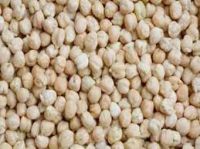 chickpeas