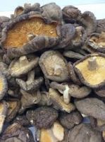 Fresh Mushroom, Dry Mushroom