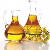 Buy about Crude Rapeseed oil