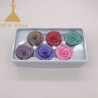 5-6cmTop Quality Eternal Roses for Festival Decoration