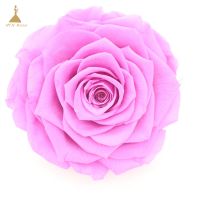 Rose Touch Silk Artificial Flowers for Wedding Decoration for Gift