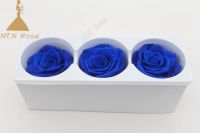 Forever Rose Offers Long Lasting Rose Arrangements