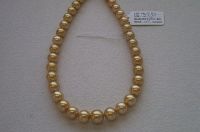 Sell Golden South Sea Pearl from pearl farm in Australia