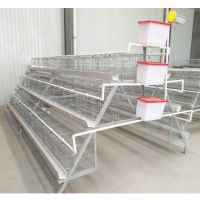 supply chicken cage