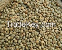 Robusta coffee beans