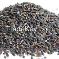 Hot Sale Sweet Flavor Black Rice