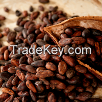 Organic Cocoa Beans