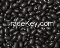 Black Kidney Bean