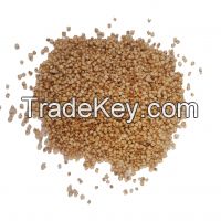 High Quality Organic quinoa