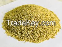 yellow millet for animal food feed