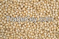 Natural  Sorghum