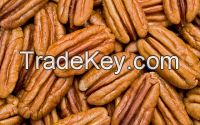 High-clsss AAA Quality Pecan Nuts for Sale/ Pecan Nut in Shell