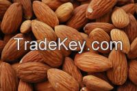 Best quality almond nuts in shell /almond without shell for sale