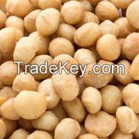 High Quality Macadamia Nuts/Macadamia Nut Kernels