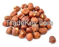 High quality natural Hazelnut for for sale