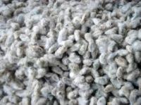 High Quality Cotton Seeds and Cotton Seeds Oil