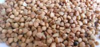 High quality sweet raw buckwheat