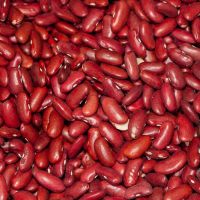 red kidney beans Organic