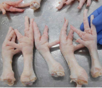 Grade A chicken feet